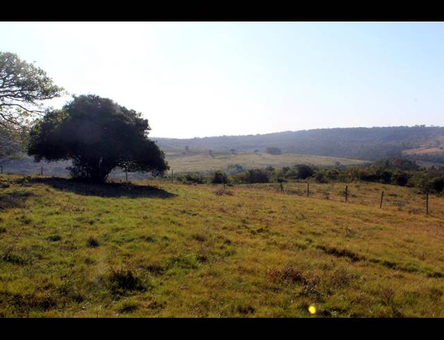 231HA FARM FOR SALE IN EAST LONDON RURAL